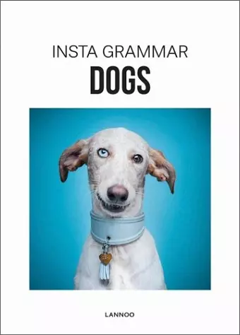 Insta Grammar Dogs cover