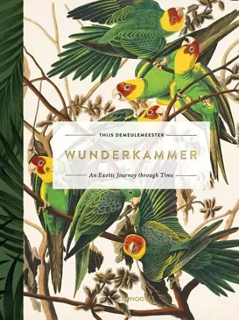 Wunderkammer cover