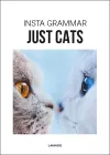 Insta Grammar Just Cats cover