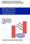 Nitrogen Fixation: From Molecules to Crop Productivity cover