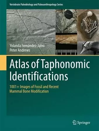 Atlas of Taphonomic Identifications cover