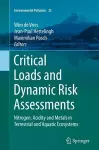 Critical Loads and Dynamic Risk Assessments cover