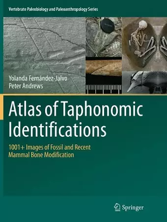 Atlas of Taphonomic Identifications cover