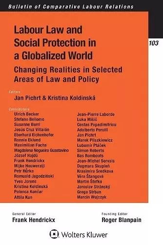 Labour Law and Social Protection in a Globalized World cover