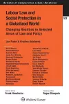 Labour Law and Social Protection in a Globalized World cover