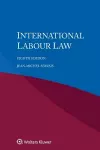 International Labour Law cover