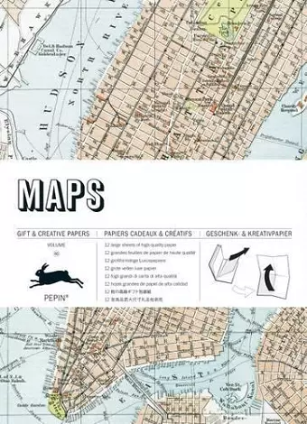 Maps: Gift and Creative Paper Book cover