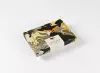 Toulouse-Lautrec: Correspondence Set cover