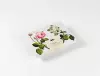 Flowers: Correspondence Set cover