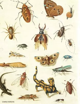 Crawly Creatures - Depiction and Appreciation of Insects and other Critters in Art and Science cover