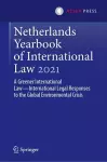 Netherlands Yearbook of International Law 2021 cover