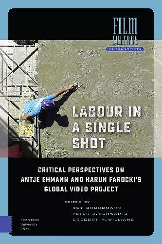 Labour in a Single Shot cover