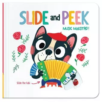 Slide & Peek: Music Maestro cover