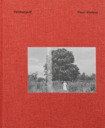 Verstrengeld cover