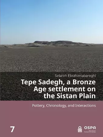 Tepe Sadegh, a Bronze Age settlement on the Sistan Plain cover