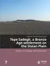 Tepe Sadegh, a Bronze Age settlement on the Sistan Plain cover