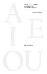 A E I OU - Articles, Essays, Interviews and Out-takes by Tony Fretton cover