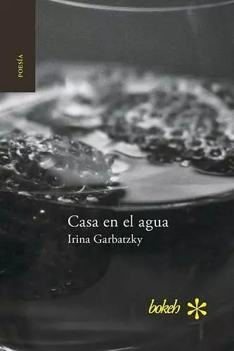 Casa en el agua cover