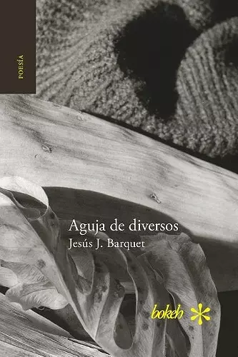 Aguja de diversos cover