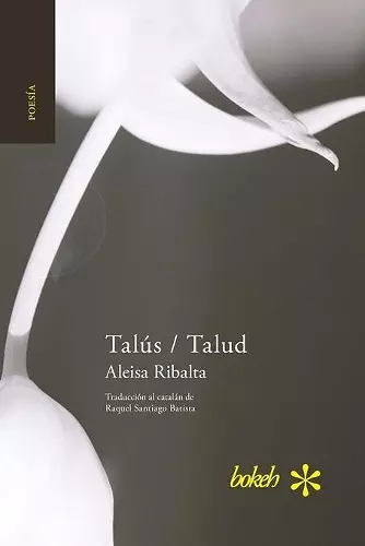 Talús / Talud cover