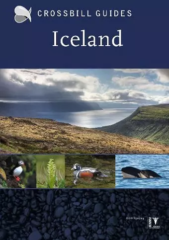 Iceland cover