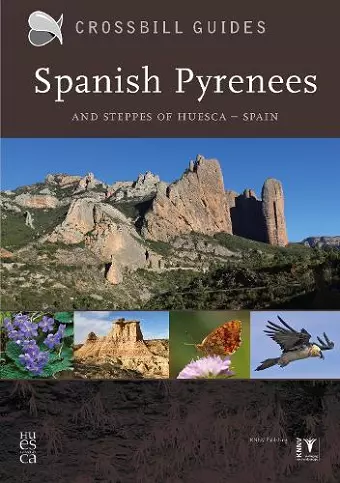 Spanish Pyrenees cover