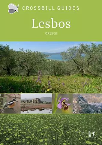 Lesbos cover