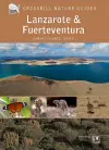 Lanzarote and Fuerteventura cover