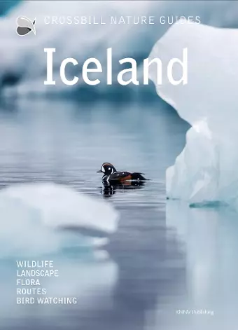 Iceland cover