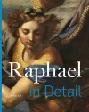 Raphael in Detail cover