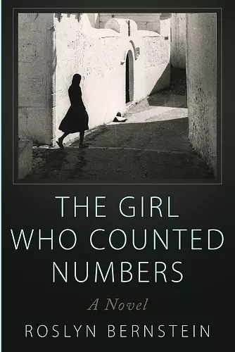 The Girl Who Counted Numbers cover