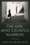 The Girl Who Counted Numbers cover