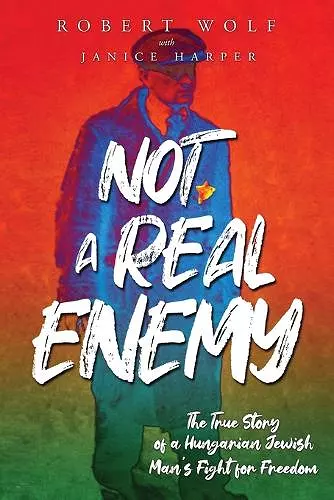 Not A Real Enemy cover