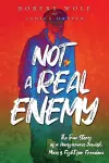 Not A Real Enemy cover