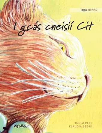 I gcás cneisií Cit cover