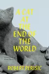 A Cat At the End of the World cover