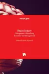 Brain Injury cover