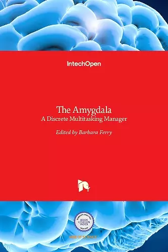 The Amygdala cover