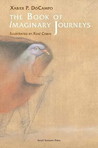 The Book of Imaginary Journeys cover