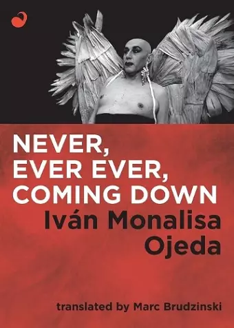 Never, Ever Ever, Coming Down cover