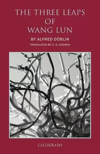 The Three Leaps of Wang Lun cover