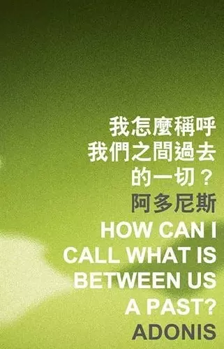 How Can I Call What Is Between Us a Past? cover