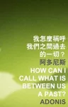 How Can I Call What Is Between Us a Past? cover
