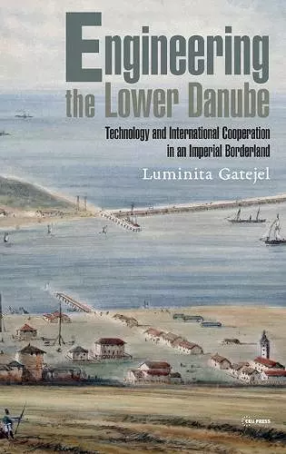 Engineering the Lower Danube cover