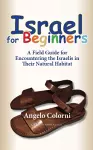 Israel for Beginners cover