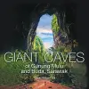 Giant Caves of Gunung Mulu and Buda, Sarawak cover