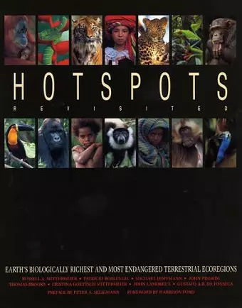 Hotspots Revisited cover