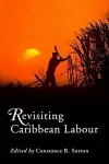 Revisiting Caribbean Labour cover