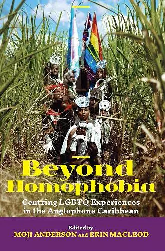 Beyond Homophobia cover