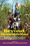 Beyond Homophobia cover